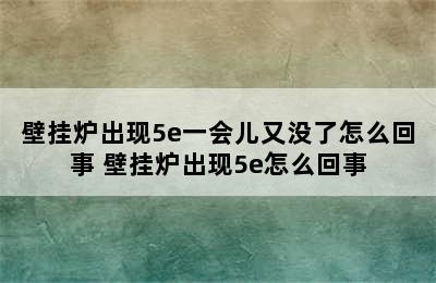 壁挂炉出现5e一会儿又没了怎么回事 壁挂炉出现5e怎么回事